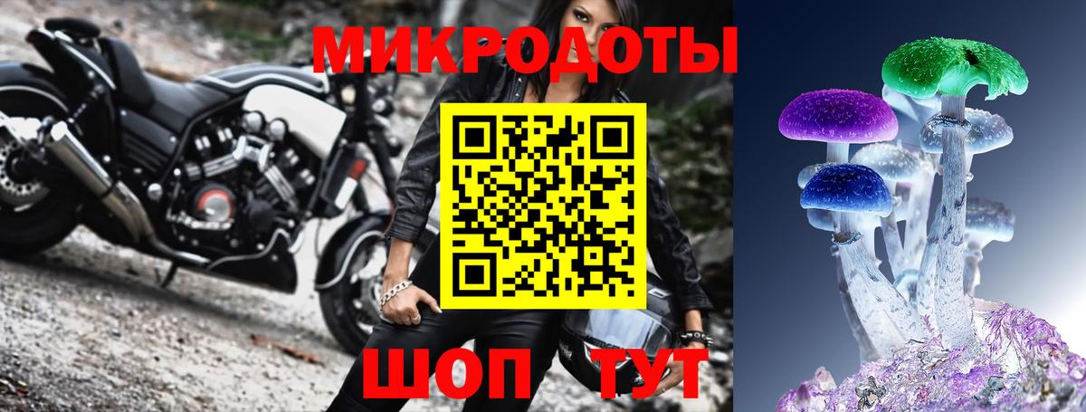 купить наркотик  Вход с VPN  Галлюциногенные грибы Psilocybe  Дербент  Псилоцибиновые грибы Psilocybe 